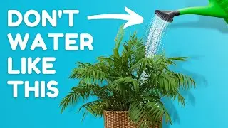 10 Everyday Habits Keeping Your Plants Unhealthy