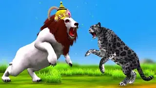 रंगीन ताज की अनोखी शक्तियां काला चीता और अंधा शेर बना जंगल का राजा Taj Black Leopard and Blind Lion