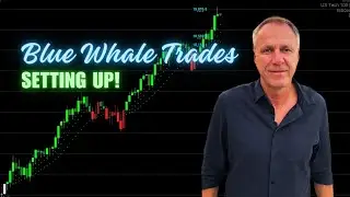 Blue Whale Trades Setting Up! | Learn to Trade