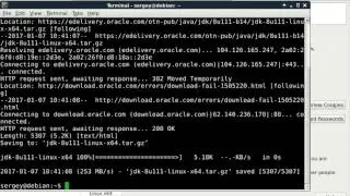 How to download Oracle Java JDK/JRE using wget in Linux