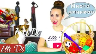 ЧЕСТНЫЙ ОБЗОР МЯЧИ ДЛЯ СОБАКИ | ПОКУПКИ ИЗ ЗООМАГАЗИНА | Elli Di