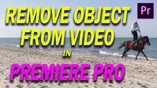 Remove Object from Video in Premiere Pro - Masking tips