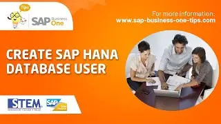 SAP Business One Tips: How to Create HANA Database User