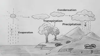 Water Cycle Drawing for School Project||Easy Water Cycle Diagram