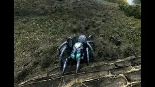 Pets of Skyrim Spider pet location - The Elder Scrolls V: Skyrim Anniversary Edition