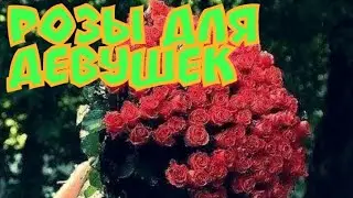 Подарили цветы девушкам!