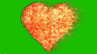 Top Heart Green Screen Effects Pack / Love Green Screen Collection 4K