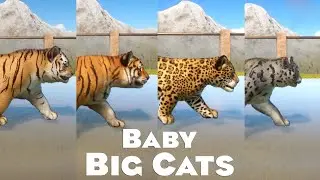 BABY Bengal Tiger, BABY Lion & Other BABY Big Cats Climb Down in Planet Zoo | Planet Zoo Gameplay