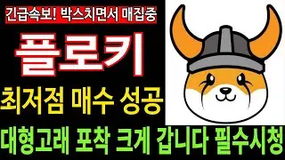 [플로키코인] FLOKI - 긴급속보! 대형고래 포착 크게 갑니다 최저점 매수 성공 박스치면서 매집중 필수시청 코미녀