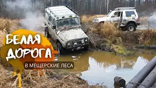 БЕЛАЯ ДОРОГА В МЕЩЕРСКИЕ ЛЕСА