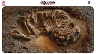Forensic Anthropology in Mass Disasters (FSC)