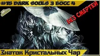 №15 Знаток кристальных чар, как призвать Эйгон из Карима на помощ DARK SOULS 3