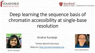 NNFC Workshop: Anshul Kundaje, Deep learning for genomic discovery