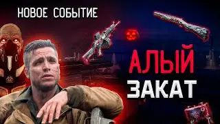 Смотрим Алый закат🎮| Warface | 🏆 #shorts #warface #варфейс #рм