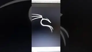 kali linux opening