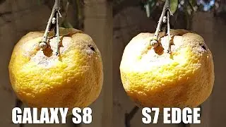 Samsung Galaxy S8 Plus vs S7 Edge - Camera Test! (4K)