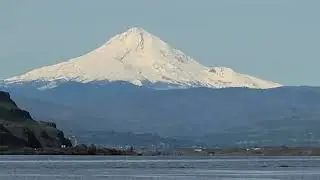 Columbia River Gorge Wildflower Hikes - May of 2022