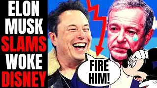 Elon Musk DESTROYS Woke Disney, Says CEO Bob Iger Needs To Be FIRED! | He Goes To WAR With Disney