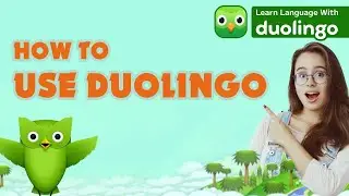 🌐 How to Reset Language Progress in Duolingo | Easy Step-by-Step Guide