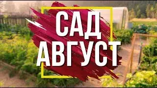 Работы в Саду и Огороде в Августе ✔️ Вредители в Саду 🐜 Советы От Garden-zoo