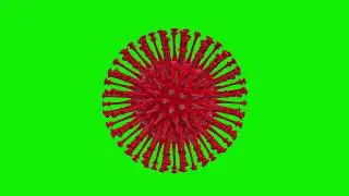 COVID-19 or coronavirus 2019 Corona virus medical realistic Loop animation.