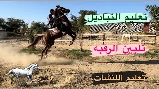 # فلوق (80) تعليم الحصان التباديل لمساعدته لأستجابه اللفه السريعه 🔥🐎