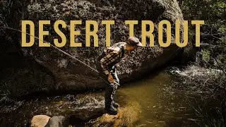 Finding Trout In The Utah Desert | CHANNEL UPDATE