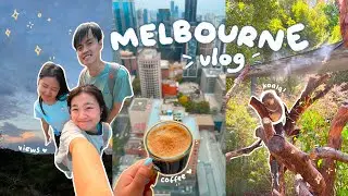 exploring melbourne 🐨🇦🇺 things to do, coffee shops, cute animals