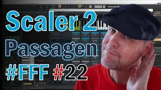 Scaler Funktion für Funktion #22 Passagen