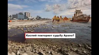 Катастрофа Каспийского моря: обмеление достигло критического уровня