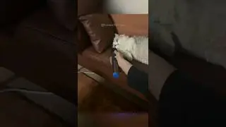 #38 Funniest Cats And Dogs videos 🐶🐱 