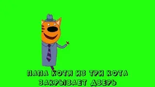 ТРИ КОТА ПАПА ЗАКРЫЛ ДВЕРЬ СПРЯТАЛСЯ КОТЯ / ФУТАЖ ТРИ КОТА