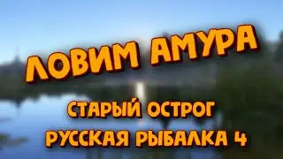 Ловим амура на старом остроге. Поднимаем уровень для поездки на оз. янтарное! Русская рыбалка 4.