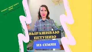 Как посадить семена петунии