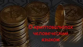 Что такое криптовалюты на 