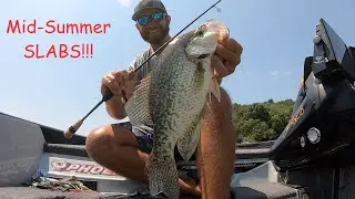 I've Caught HUNDREDS Of CRAPPIE On This SIMPLE RIG!! (Presented by @midwayusa)