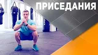 Приседания: техника выполнения [Спортивный Бро]