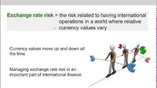 (17 of 18) Ch.21 - Short-run & long-run exchange rate risk exposure