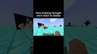 Minecraft how we react to Seeds