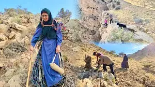 "Amir and Family's Adventurous Journey to Gather Firewood on the Mountain!"💛