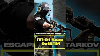 Самый Лучший Бюджетный ПП на Любом Уровне Игры #escapefromtarkov #tarkovtips #tarkov