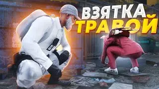 КОП ВМЕСТО ВЗЯТОК БЕРЁТ ТРАВУ в GTA RP / MAJESTIC RP