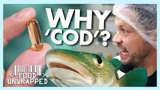 Why is the oil always from 'Cod Liver'? | Food Unwrapped