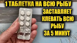 Таблетка для рыбалки которая заставляет всю рыбу клевать. 1 Таблетка на всю рыбу. Название таблетки