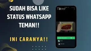 Cara Menyukai Status di WhatsApp