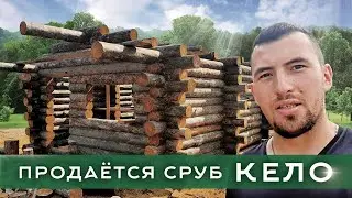 Сруб Баня 6 на 6 из Кело