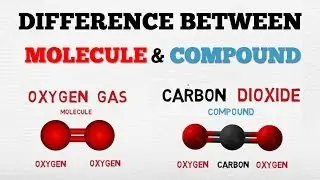 DIFFERENCE BETWEEN A MOLECULE & A COMPOUND - [ AboodyTV ] - Chemistry