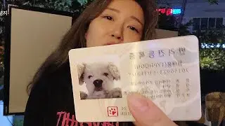 술마시러 왔는데 강아지 신분증으로 레전드 찍어버림 ㅋㅋㅋㅋㅋ