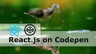 How to Run React.js in Codepen.io - React Tutorial for Beginners 2020