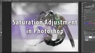 The Saturation Adjustment Layer in Photoshop